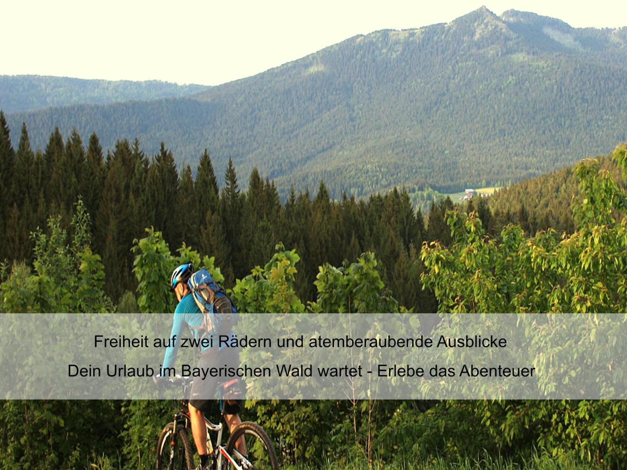 Garnihotel Zur Linde - Bayerischer Wald - Aktivcard Mit 154 Kostenfreien Leistungen - Kostenloser Parkplatz 로베르크 외부 사진